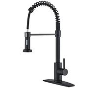 Kitchen Faucet,Stainless Steel Mixer Tap Single Handle Sink Faucet with Pull Out Spray 360° Swivel Dual Function,Brushed(Nero)
