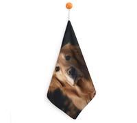 Kitchen Golden Retriever Hand Towels with Hanging Loops, Highly Absorbent & Quick Drying Towels for Kitchen Bathroom, Microfiber Cleaning Cloth, Dish Towel, Tea Towel Decorative, Dish Rag(12x12)