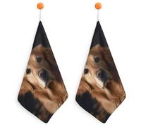Kitchen Golden Retriever Hand Towels with Hanging Loops, Highly Absorbent & Quick Drying Towels for Kitchen Bathroom, Microfiber Cleaning Cloth, Dish Towel, Tea Towel Decorative, Dish Rag(12x12)