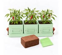 Kitchen Herb Pots Set on Tray (Mint Green, Compete Set with Chillies) | 3 Square Steel Pots, 10.5 cm, with Leather Effect Handles