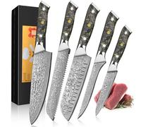 Kitchen Knife Set 5pcs, Professional 67-Layer Damascus Steel Chef Knife Set with Chef's Bread Santoku Boning Knife, for Cooking, Home, Restaurant,Gift Box