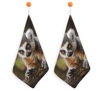 Kitchen Monkey Lemur Cute Hand Towels with Hanging Loops, Highly Absorbent & Quick Drying Towels for Kitchen Bathroom, Microfiber Cleaning Cloth, Dish Towel, Tea Towel Decorative, Dish Rag(12x12)