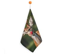 Kitchen Red-nosed Deer Hand Towels with Hanging Loops, Highly Absorbent & Quick Drying Towels for Kitchen Bathroom, Microfiber Cleaning Cloth, Dish Towel, Tea Towel Decorative, Dish Rag(12x12)