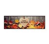 Kitchen Rug Washable Autumn 60 x 180 cm Velvet Door Mat Non-Slip with Latex Backing Dirt Trapper Mat for Indoor Outdoor Use Durable Rug for Hallway Balcony Patio Apartment Door