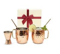 Kitchen Science [Gift Set] Moscow Mule Mugs, Stainless Steel Lined Copper Moscow Mule Cups Set of 2 (19 OZ) w/ 2 Straws & 1 Jigger | Tarnish-Resistant Stainless Steel Interior