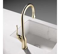 Kitchen Sink Faucets with Pull Down Sprayer, Faucet 304 Stainless Steel Single Handle Hole for Farmhouse Rv Bar Laundry Sinks,Black(Gold)