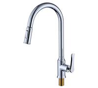 Kitchen Tap, Kitchen Mixer Tap, Brass Basin Mixer Faucet with Pull Down Sprayer Bubbler Ceramic Valves Hot And Cold, Single Lever Silver Bathroom Sink Tap for Restaurant Vanity