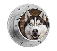 Kitchen Timer Stupid Husky Dog Printed Cooking Timer Clock with Loud Alarm No Batteries Required Wind for Cooking Baking