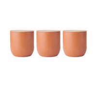 KitchenCraft Idilica Set of 3 Green Kitchen Canisters with Beechwood Lid in Terracotta Kitchencraft Terracotta