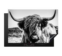 KitchenYeah© Induction Hob Cover Protector Mat 20.5"x30.7" / 78x52 cm Kitchen Universal Ceramic Covers for Electric Cookers Vinyl Cow - Scottish Highlander - White - Animal - Nature