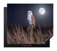 KitchenYeah© Induction Hob Protector Mat 20.2"x22.9" / 58.3x51.3 cm Cooker Top Protectors Cover Ceramic Covers Electric Hobs Vinyl Barn owl - Moon - Night