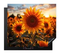 KitchenYeah© Induction Hob Protector Mat 20.5"x23.6" / 60x52 cm Cooker Top Protectors Cover Ceramic Covers Electric Hobs Vinyl Sunflower - Sunset - Flowers - Nature - Yellow