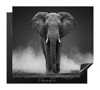 KitchenYeah© Induction Hob Protector Mat Stove Cap Top Cover Kitchen Cooker | 20.5"x23.6" / 60x52 cm - Covers for Electric Hobs Vinyl Elephant - Black - White - Smoke