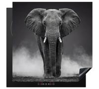 KitchenYeah© Induction Hob Protector Mat Stove Cap Top Cover Kitchen Cooker | 30.7"x30." / 78x78 cm - Covers for Electric Hobs Vinyl Elephant - Black - White - Smoke