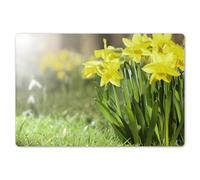 KitchenYeah© Place Mats Waterproof Sets Non Stick Wipe Clean Anti Slip | 18"x12" / 45x30 cm - Dinner Wipeable Placemats Table Mat Dinning Daffodil - Yellow - Spring
