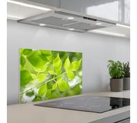 KitchenYeah© Splashback for kitchen 16"x24" / 40x60 cm self-adhesive Sink Splash Splatter Guard Splashbacks Walls Nature - Spring - Green - Leaves