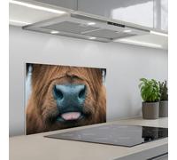 KitchenYeah© Splashback for kitchen 16"x24" / 40x60 cm self-adhesive Wall Protector Splash Back Cooker Backsplash Scottish highlander - Nose - Brown