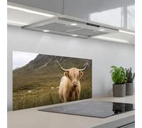 KitchenYeah© Splashback for kitchen 18"x35" / 45x90 cm self-adhesive Back Splashes Kitchens Splash Guard Decor Scotch highlander - Mountains - Grass field
