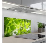 KitchenYeah© Splashback for kitchen 18"x35" / 45x90 cm self-adhesive Sink Splash Splatter Guard Splashbacks Walls Nature - Spring - Green - Leaves