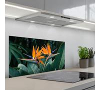 KitchenYeah© Splashback for kitchen 18"x35" / 45x90 cm self-adhesive Sink Splash Splatter Guard Splashbacks Walls Bird of paradise - Flower - Exotic
