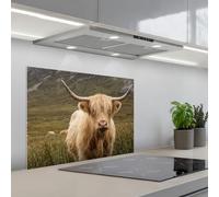 KitchenYeah© Splashback for kitchen 20"x28" / 50x70 cm self-adhesive Back Splashes Kitchens Splash Guard Decor Scotch highlander - Mountains - Grass field