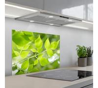 KitchenYeah© Splashback for kitchen 20"x28" / 50x70 cm self-adhesive Sink Splash Splatter Guard Splashbacks Walls Nature - Spring - Green - Leaves