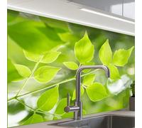 KitchenYeah© Splashback for kitchen 24"x32" / 60x80 cm self-adhesive Sink Splash Splatter Guard Splashbacks Walls Nature - Spring - Green - Leaves