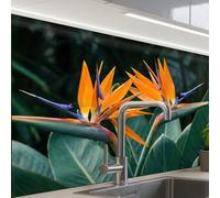KitchenYeah© Splashback for kitchen 24"x32" / 60x80 cm self-adhesive Sink Splash Splatter Guard Splashbacks Walls Bird of paradise - Flower - Exotic