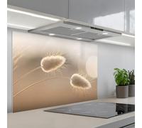 KitchenYeah© Splashback for kitchen 24"x35" / 60x90 cm self-adhesive Sink Splash Splatter Guard Splashbacks Walls Haze tail grass - Grain hairs - Sunlight
