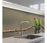 KitchenYeah© Splashback for kitchen 24"x59" / 60x150 cm self-adhesive Back Splashes Kitchens Splash Guard Decor Parrot - Branch - Nature - Colorful