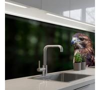 KitchenYeah© Splashback for kitchen 24"x59" / 60x150 cm self-adhesive Wall Protector Splash Back Cooker Backsplash Buzzard - Bird Prey - Nature - Brown