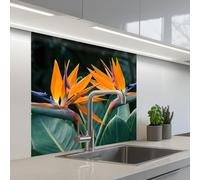 KitchenYeah© Splashback for kitchen 32"x32" / 80x80 cm self-adhesive Sink Splash Splatter Guard Splashbacks Walls Bird of paradise - Flower - Exotic