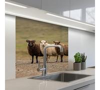 KitchenYeah© Splashback for kitchen 32"x32" / 80x80 cm self-adhesive Wall Protector Decor Panels Cooker Backsplash Sheep - Brown - White - Gravel Path