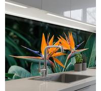 KitchenYeah© Splashback for kitchen 32"x98" / 80x250 cm self-adhesive Sink Splash Splatter Guard Splashbacks Walls Bird of paradise - Flower - Exotic