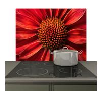 KitchenYeah© Splashback for kitchen 81x52 cm Wall Decor Panels Cooker Backsplash, Induction hob protector mat Close up - Flower- Red