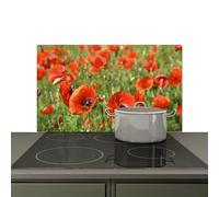 KitchenYeah© Splashback for kitchen 91x52 cm Splash Splatter Guard Splashbacks Walls, Induction hob cover Flowers - Poppies - Red - Green