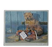 Kitchy & Co Vet On Call Trivet Small