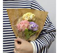 Kitcroet Carnation Crochet Kit for Beginner, Step-by-Step Crochet Tutorial Help to Easy Get Start, DIY Crochet Knitting Material Kit Gift for Sister, Mom and Friends