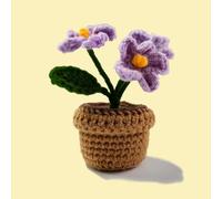 Kitcroet Myosotis Flower Crochet Kit for Beginner, Step-by-Step Crochet Tutorial Help to Easy Get Start, DIY Crochet Knitting Material Kit Gift for Sister, Mom and Friends (Purple)