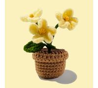 Kitcroet Myosotis Flower Crochet Kit for Beginner, Step-by-Step Crochet Tutorial Help to Easy Get Start, DIY Crochet Knitting Material Kit Gift for Sister, Mom and Friends (Yellow)