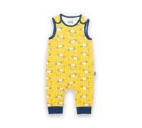 Kite Baby Organic Happy Planet Dungarees - Newborn