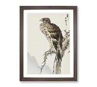Kite Bird By Numata Kashu Asian Japanese Framed Wall Art Print, Ready to Hang Picture for Living Room Bedroom Home Office Décor, Walnut A4 (34 x 25 cm)