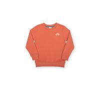 Kite Boy's Dino Discovery Sweatshirt in Orange | Size: 5 Years Kite Orange 5 Years