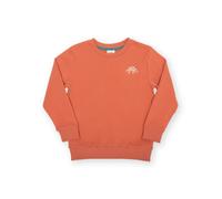 Kite Boys Organic Dino Discovery Sweatshirt - 3 years - Orange