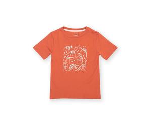 Kite Boys Organic Dino Discovery T-Shirt - 12-13 years - Orange