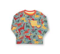 Kite Boys Organic Dinos And Dragons T-Shirt - 5 years