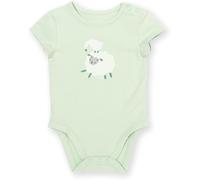Kite Clothing Baby 95% Organic Cotton Short Sleeve Bodysuit -