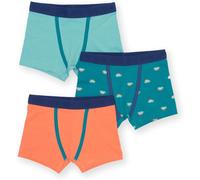 Kite Clothing Kids Steggie Dot 95% Organic Cotton 3 Pack Trunks -