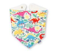 Kite Dino Day Bib
