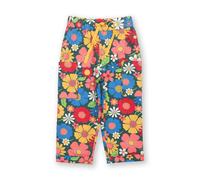 Kite Flower Power Pull Ups